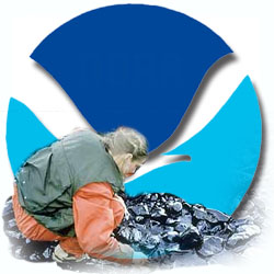 noaa logo with person examining oil spill